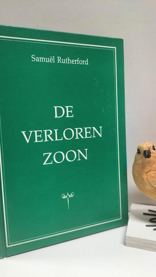 Rutherford, S. ; De verloren zoon, Boeken, Godsdienst en Theologie, Gelezen, Christendom | Protestants, Ophalen of Verzenden