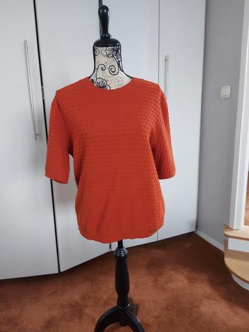 Maicazz Knits Trui Cognac Maat M - Zo goed als nieuw beschikbaar voor biedingen