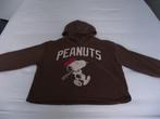 bruin Peanuts sweater + capuchon Snoopy hoody maat 170 14 j, Meisje, Trui of Vest, Ophalen of Verzenden, Zo goed als nieuw