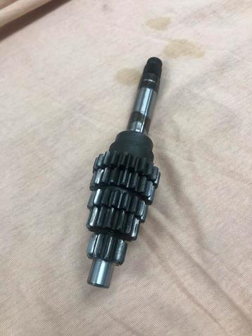 Primaire as 5 bak (kerstboom) beschikbaar voor biedingen