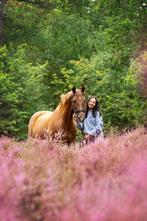 Verzorgster voor lieve merrie gezocht!, Dieren en Toebehoren, Stalling en Weidegang