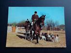 Ansicht Paard met Ruiter en honden / 1973 / KO26.80, Paard, Gelopen, 1960 tot 1980, Ophalen of Verzenden