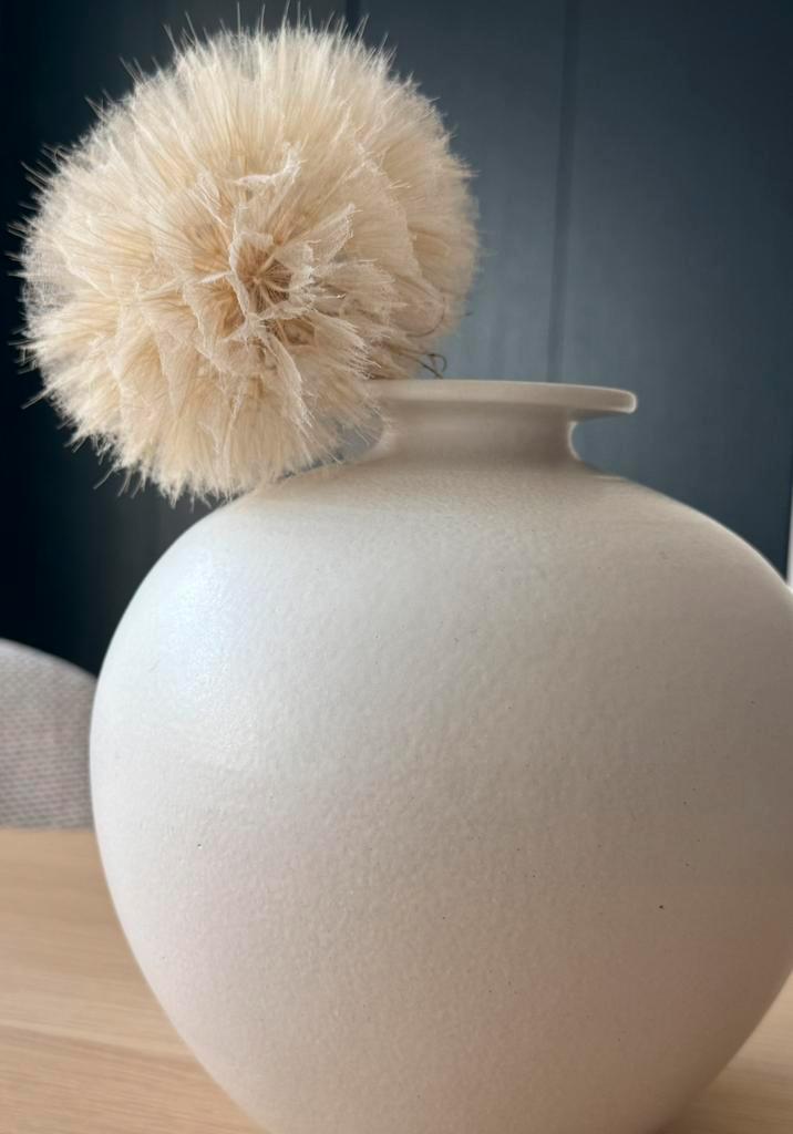 Dandelion , gedroogde decoratieve paardenbloemsoort, Huis en Inrichting, Woonaccessoires | Droogbloemen, Zo goed als nieuw, Ophalen