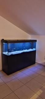 Aquarium Aqualife, Ophalen of Verzenden, Zo goed als nieuw, Leeg aquarium