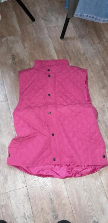 HARRY'S HORSE paarden bodywarmer maat L NIEUW beschikbaar voor biedingen