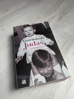 Astrid Holleeder - Judas, Ophalen of Verzenden, Nieuw, Astrid Holleeder