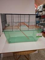 Gerbil kooi, Dieren en Toebehoren, Knaagdieren en Konijnen | Hokken en Kooien, Kooi, Ophalen, Minder dan 60 cm, Minder dan 75 cm