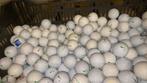 Nike PD soft golfballen 100 stuks, Sport en Fitness, Golf, Ophalen of Verzenden, Zo goed als nieuw