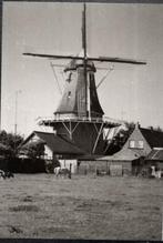 (F449) FOTO Wolvega molen Windlust 9x13cm zwartwit, Verzenden, Foto, Zo goed als nieuw, 1940 tot 1960