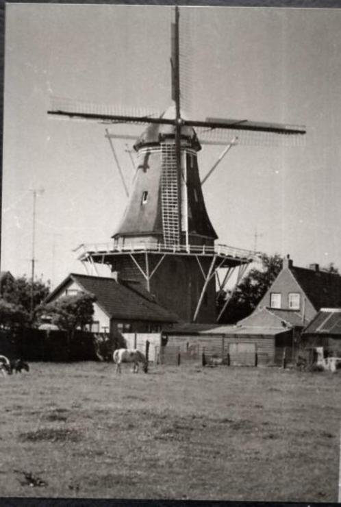 (F449) FOTO Wolvega molen Windlust 9x13cm zwartwit, Verzamelen, Foto's en Prenten, Zo goed als nieuw, Foto, Gebouw, 1940 tot 1960