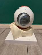 anatomisch oog, Ophalen, Zo goed als nieuw
