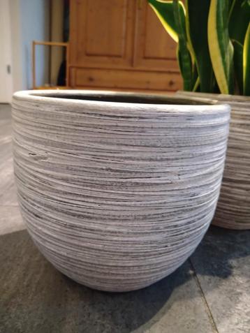 Bloempot grijs  beschikbaar voor biedingen