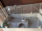 Cavia/konijnen kooi voor binnen, Kooi, Zo goed als nieuw, 75 tot 110 cm, Cavia