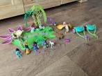 Playmobil Feeënset, Kinderen en Baby's, Speelgoed | Playmobil, Ophalen of Verzenden, Gebruikt