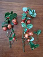 decoratietakken appeltjes, Huis en Inrichting, Ophalen of Verzenden, Zo goed als nieuw, Binnen