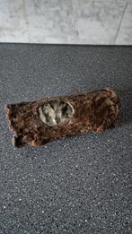 Boomstam voor in aquarium, Dieren en Toebehoren, Vissen | Aquaria en Toebehoren, Ophalen of Verzenden, Nieuw, Plant(en), Steen of Hout