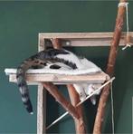 Krabpaal Fonzie XL, Dieren en Toebehoren, Ophalen, Kommiezenlaan 19 Schiedam, Krabpaal, Krabpalen en klimbomen