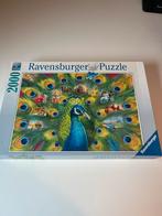 Ravensburger Puzzel - Pauw - 2000 stukjes, Hobby en Vrije tijd, Denksport en Puzzels, Ophalen of Verzenden, Meer dan 1500 stukjes