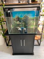 Superfish Home 85 65x31x54cm compleet, Ophalen, Zo goed als nieuw, Leeg aquarium