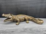krokodil (goud/zwart) 60cm/Nieuw!, Ophalen of Verzenden, Nieuw, Dier
