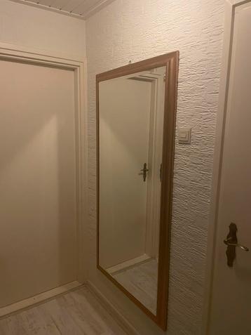 Spiegel 167 x 87 Goudenrand beschikbaar voor biedingen