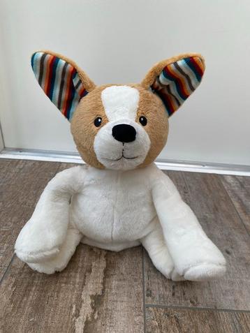 Schattige Knuffelhond beschikbaar voor biedingen