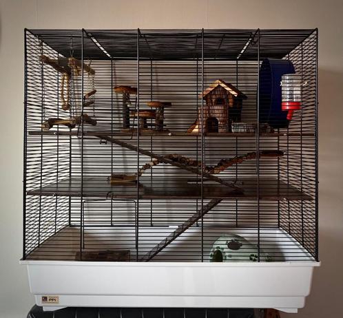 Hamsterkooi - kooi voor kleine knaagdieren met toebehoren, Dieren en Toebehoren, Knaagdieren en Konijnen | Hokken en Kooien, Zo goed als nieuw