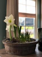 Olijfbak, Huis en Inrichting, Woonaccessoires | Schalen en Manden, Ophalen, Zo goed als nieuw, Rond