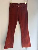 Sissyboy broek roest rib M, Kleding | Dames, Broeken en Pantalons, Ophalen of Verzenden, Zo goed als nieuw