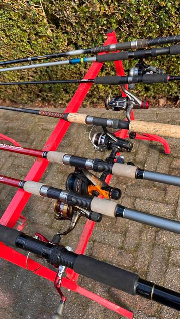 Vishengels karper Hengels beschikbaar voor biedingen