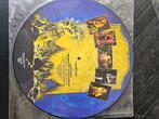 Iron Maiden picture disc, Ophalen of Verzenden, Zo goed als nieuw