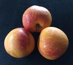 Zaden ZA kruising abrikoos +nectarine sappige fruit, Ophalen of Verzenden, Gehele jaar, Volle zon, Zaad
