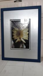 10 gelijke fotolijsten voor expositie 50x70 incl passe parto, Gebruikt, 50 tot 75 cm, Hout, 50 tot 75 cm