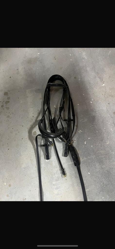 Hoofdstel, Ophalen of Verzenden, Zo goed als nieuw, Dressuur