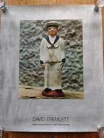 David Tremlett 1981, Ophalen of Verzenden, Gebruikt, Rechthoekig Staand, Muziek