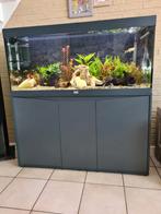 Twee jaar oude aquarium, Dieren en Toebehoren, Vissen | Aquaria en Toebehoren, Ophalen, Zo goed als nieuw