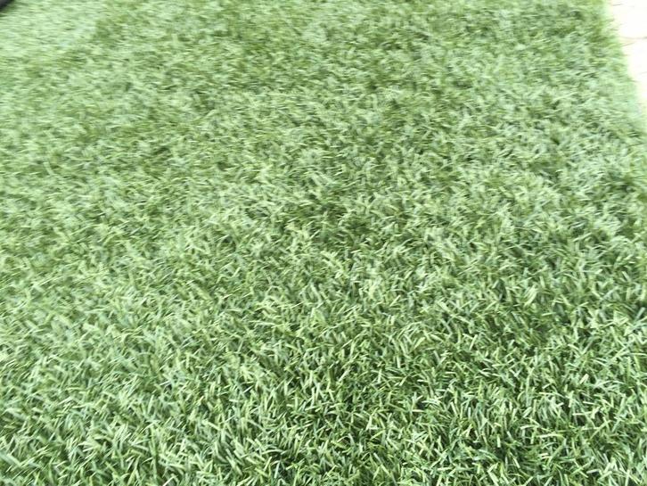 24m2 Kunstgras. 4cm Hoog! (4m x 6m) €120,-, Tuin en Terras, Gras en Kunstgras, Gebruikt, Kunstgras, 20 m² of meer, Ophalen of Verzenden