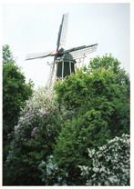 (GD205) Ansichtkaart Hattem molen De Fortuin, Ophalen of Verzenden, 1980 tot heden, Ongelopen, Gelderland