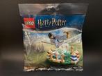 Lego 30651 Harry Potter polybag Zwerkbal training (nieuw), Nieuw, Complete set, Ophalen of Verzenden, Lego