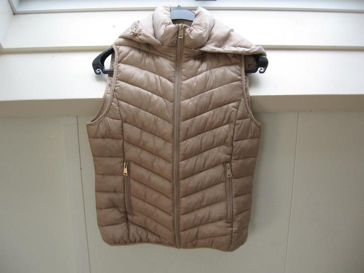 Nw body warmer m 176 S €12.50 Cache.+ excl. Detaills,, Kinderen en Baby's, Kinderkleding | Maat 170, Nieuw, Meisje, Overige typen