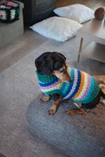 Handgehaakte hondentrui – maat S – meerkleurig gestreept, Dieren en Toebehoren, Hondenkleding, Ophalen of Verzenden, Nieuw, Hondentrui