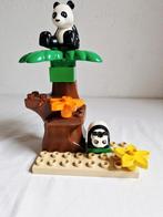 Duplo dierentuin jungle dieren Panda, Ophalen of Verzenden, Gebruikt, Duplo