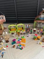 Playmobil Spirit Set Compleet, Ophalen of Verzenden, Gebruikt, Complete set
