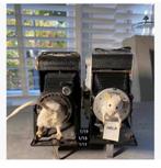 2 antieke fototoestellen met echt opgezette muisjes, HELP, Verzamelen, Ophalen of Verzenden, Nieuw, Overige soorten, Opgezet dier