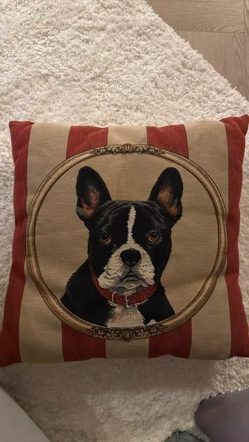 Kussen met een hond (french bulldog) beschikbaar voor biedingen