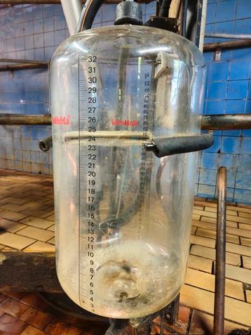 Melkglas bohema surge beschikbaar voor biedingen