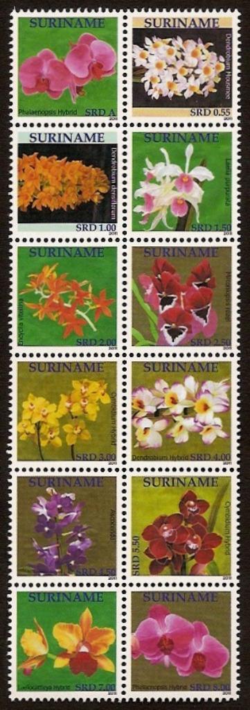Suriname 1811/22 postfris Orchideeen 2011, Postzegels en Munten, Postzegels | Suriname, Postfris, Ophalen of Verzenden