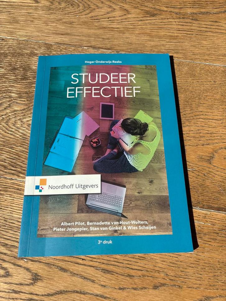 Studeer Effectief - HBO Studieboek, Boeken, Studieboeken en Cursussen, Zo goed als nieuw, HBO, Gamma, Ophalen of Verzenden