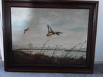 Mooie schilderij, Antiek en Kunst, Ophalen