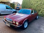 Jaguar XJ12 - 1986 - volledig gerestaureerd, Auto's, Automaat, Achterwielaandrijving, Zwart, 254 pk